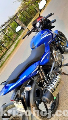 Pulsar Safari Blue 2018